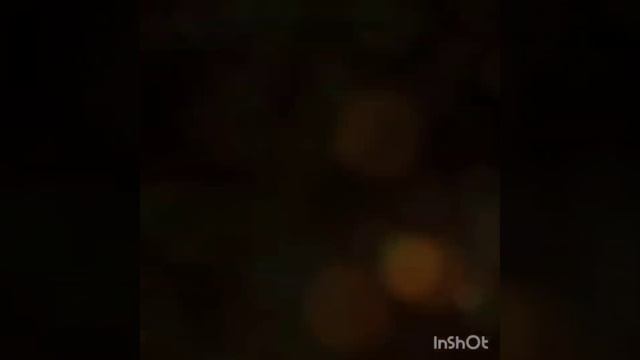 Музыка потока - Золотая скрипка