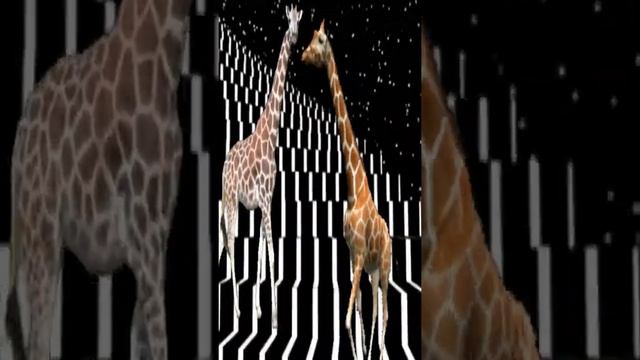 Жираф ,танцы-графика ,гиф, анимация.Giraffe Dancing Gif Animation