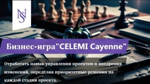 Бизнес-игра «CELEMI Cayenne™»