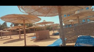 turtle beach sea veiw