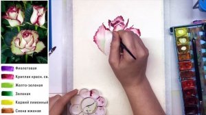 «Цветы. Роза» как нарисовать АКВАРЕЛЬ | Сезон 2-6 |Мастер-класс для начинающих