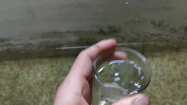 Рабочий день рыбовода. Личинка осетра и перевод на корм стерляди смотреть онлайн