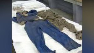 Лягушачьи мальчики сначала исчезли, а потом произошло неожиданное...