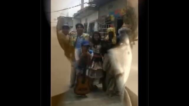 te vi venir cristian meneses смотреть онлайн