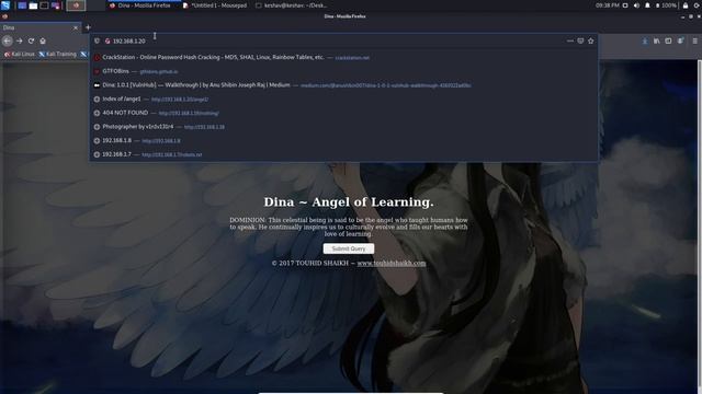Dina 1.0.1 Vulnhub | Walkthrough | HWKDS смотреть онлайн