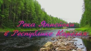 Река Янисйоки в Республике Карелия