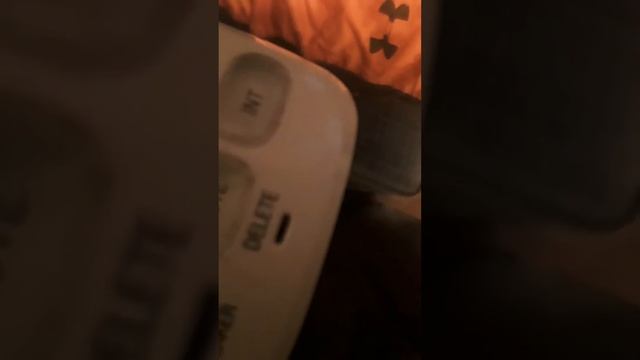 Pinephone (Mobian Linux) Video/Audio Proof Phone Calls Do Work Both Incoming/Outgoing смотреть онлайн