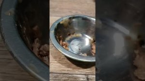 кафе Фартика