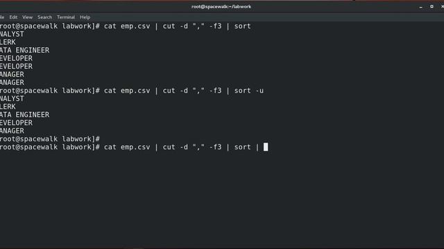 Linux head, tail, sort and diff commands