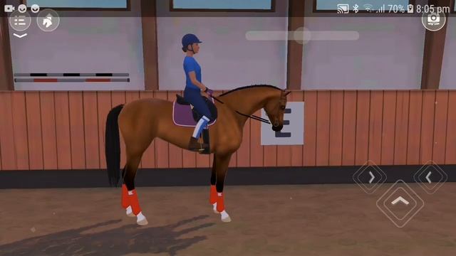 How to do dressage in Equestrian the game! смотреть онлайн