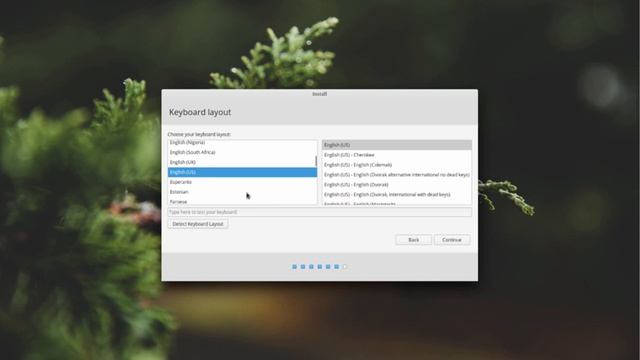How to install Elementary OS (Linux) on a PC