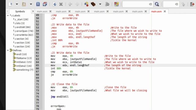 Assembly 45a: File Basic Input/Output Linux x86_64