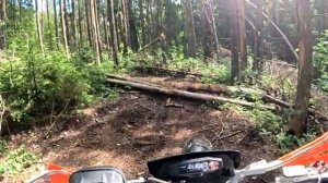 Прокатились на ТТ в Буграх , эндуропокатушка. Crosstrec, Avantis, ROCKOT HIGHLANDER.