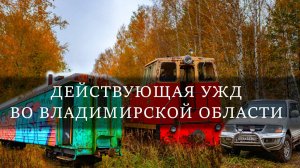 Мезиновская узкоколейная дорога
