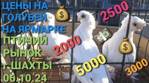 Цены на ярмарке голубей. Птичий рынок в г.Шахты. Николаевские голуби.