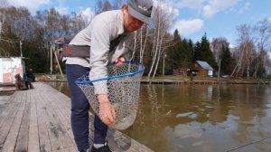 Нахлыст для начинающих. Ловля форели на платных водоёмах. 3 часть.