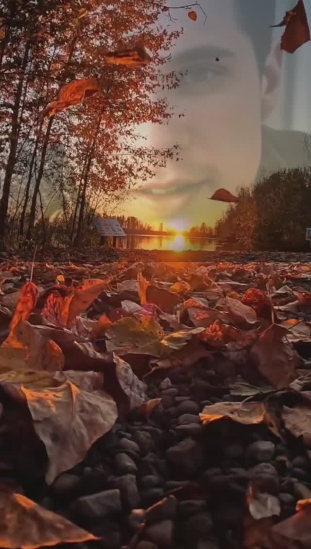 Prelude 8 in E flat minor BWV 853 WTC 1 Glenn Gould, Bach смотреть онлайн