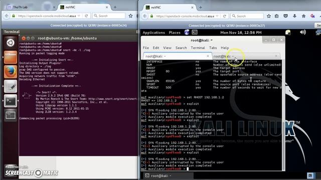 CSE 598 - CNS Project 4 - SNORT IDS Demonstration