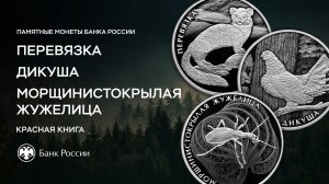 Красная книга: новые монеты Банка России