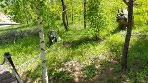 Просто влог,Мир Динозавров в Волжском, всё для детей