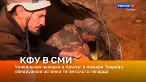 Уникальная находка в Крыму: в пещере Таврида обнаружили останки гигантского гепарда