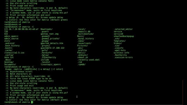 1 Fun Linux Commands to Try When You're Bored - Fun Linux Terminal Commands: Cmatrix #linuxtopic