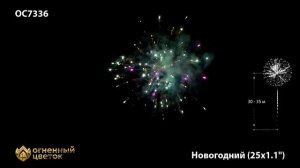 Фейерверк Новогодний (1,1" х 25)