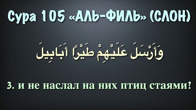 Сура 105 аль-Филь (арабские и русские титры) - Мухаммад Люхайдан