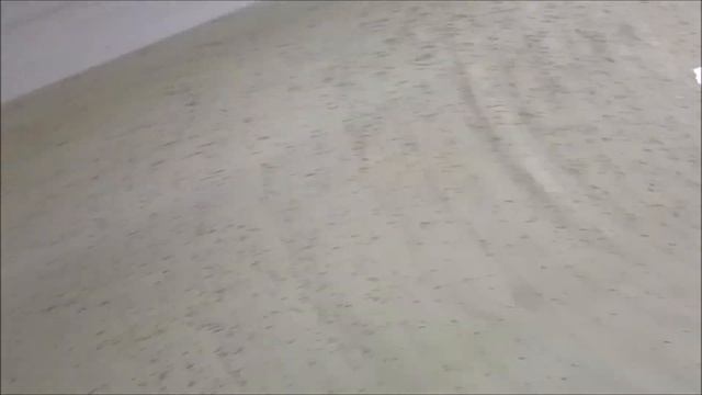 Подсчет личинки осетровых после инкубации смотреть онлайн