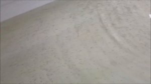 Подсчет личинки осетровых после инкубации