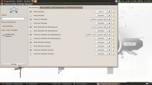 Compiz Customization
