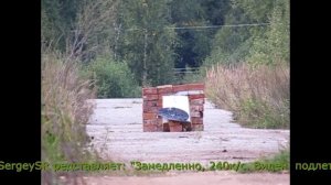 Сайга 410к04, парадокс 150мм