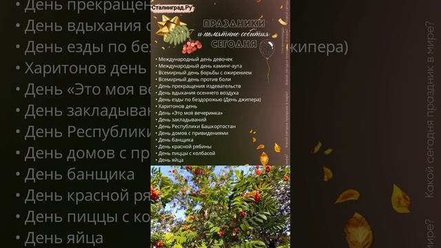 11.10.24. Пятница. Праздники и памятные события сегодня/День красной рябины