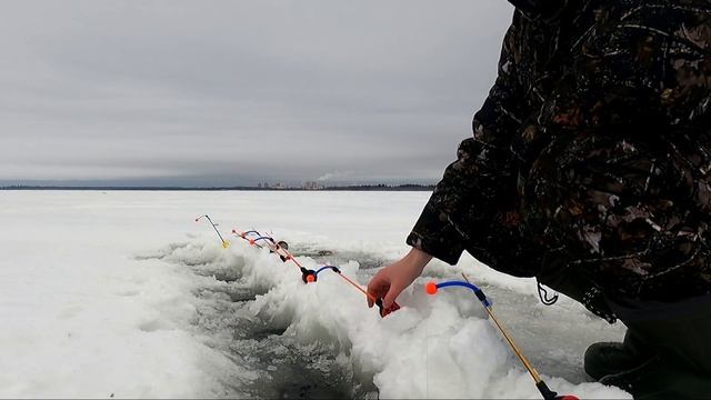 Ловим корюшку на Финском заливе январь 2022 смотреть онлайн