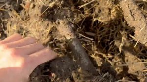 СУПЕР ДИСКАТОР CARBON D5000!!! ТАКОГО ВЫ НЕ ВИДЕЛИ. ЛУЧШИЙ В ПОЛЕ!!!