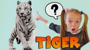 Белый тигр Мир дикой природы Полина рассказывает об уникальном животном