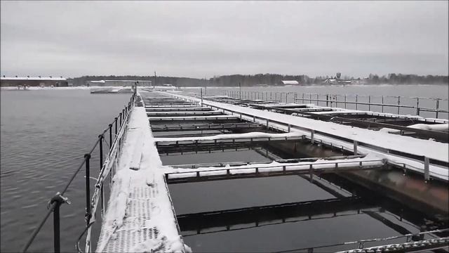 Восстановление садкового тепловодного рыбхоза. Установка линий смотреть онлайн