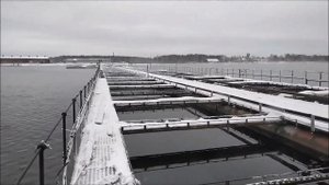 Восстановление садкового тепловодного рыбхоза. Установка линий