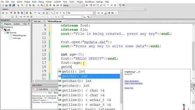 C++ Programming Basics Lecture 10 (File Handling)