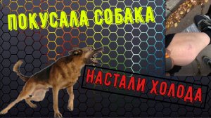 ✅ДОСТАВКА ТАМБОВ.СТАТУС АВТО,КАТАЮ НА ЭЛЕКТОРОБАЙКЕ MAIKAOLIN.#курьер#доставка#тамбов
