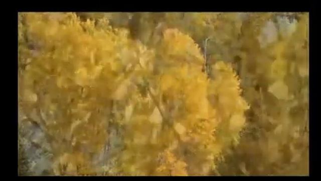 Апрельское..., Стихи Тамрико Каминохикари, муз. и исп. #СамуилФрумович