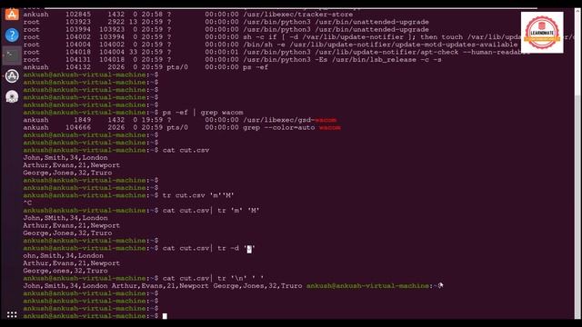 Translate (tr) command in Linux | Learnomate Technologies