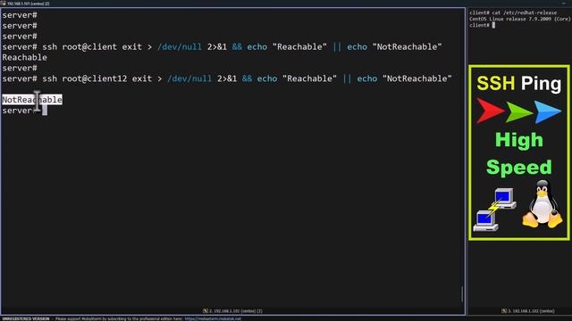 SSHPing Test Linux #sshping #sshd #linuxtips #linux_tutorial #linux #ping #tcpping #sshping