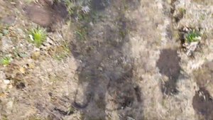 Спасение лошади из грязевой ловушки!