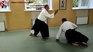 Айкидо в Омске. Михаил Сафрнов 6-й дан, г. Москва