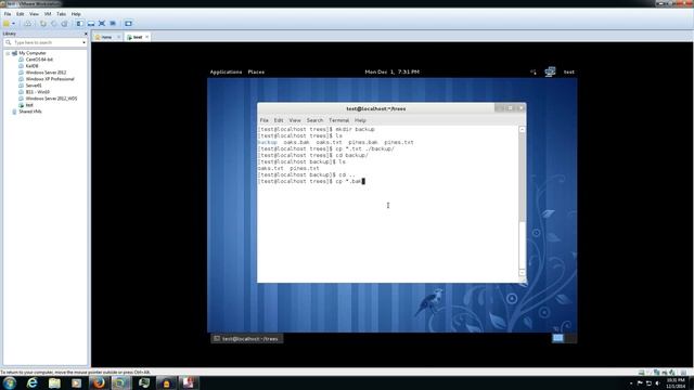 Linux tutorials for beginners part 4 CP, MV, DIFF commands
