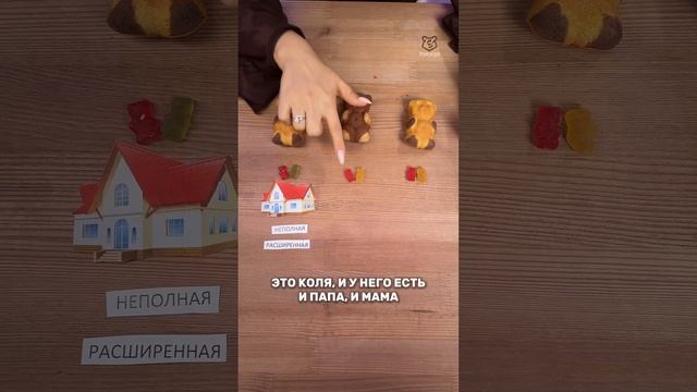 Типы семей #настямалова #обществознание #егэ