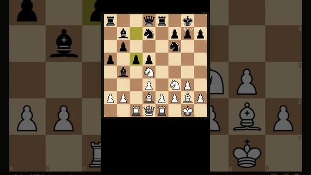 One of the Anatoly Karpov game