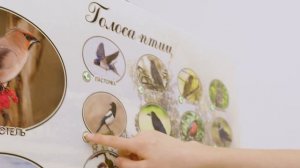 Стенд тактильно-звуковой "Голоса птиц" с индукционной системой