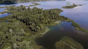 Летим вместе с орланами